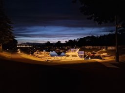 Mainschwimmen Juni 2026